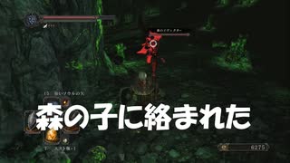 #65【ダークソウル2】森の子に絡まれる初見プレイ-DARK SOULS Ⅱ SCHOLAR OF THE FIRST SIN-