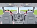 【ヒメミコ】鳴花航空??
