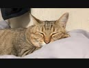 うれしいんですけどね…