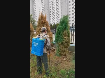 ホモと見る中国の緑化活動