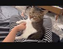 朝の甘えん坊タイム