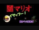【闇マリオ】先が見えないけどマリオなら楽勝でしょ part3