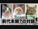 【コラボ動画】ネコ対談しました！ケツドラム猫&同居猫×短足バブみ猫