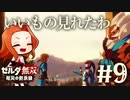 【いいもの見れたわ】ハイラル城への帰還【ゼルダ無双 厄災の黙示録】Part9