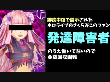 誹謗中傷で開示されたホロライブのファン、発達障害者だった