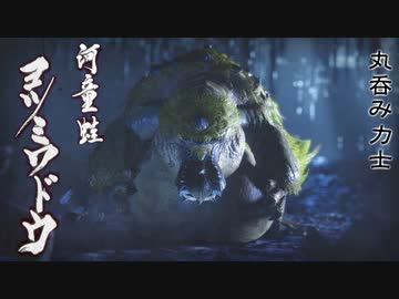 【MHRise】会長が丸呑み力士ヨツミワドウを攻略実況