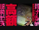 【MTG】『団結のドミナリア』ボックスプロモ & カベの店 オリパ！【引けるか 旧枠 セラの天使】