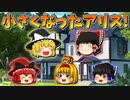 【ゆっくり茶番】小さくなったアリス