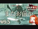 【ハイラルチャレンジ】ヘブラ山越え火山越えがあるなら天城越えもいつか出てくる?【ゼルダ無双 厄災の黙示録】Part9.5