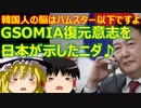 ゆっくり雑談 545回目(2022/10/6) 1989年6月4日は天安門事件の日 済州島四・三事件 保導連盟事件 ライダイハン コピノ コレコレア