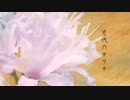 月代のネリネ/miki