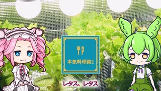 【本気料理祭2】種から育てたサニーレタスのサラダ【種から育てた野菜のお料理】