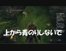 #67【ダークソウル2】上から青のりふりかけけないで！初見プレイ-DARK SOULS Ⅱ SCHOLAR OF THE FIRST SIN-