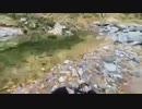 【北海道渓流釣り】初秋の渓流釣り ネイティブトラウトを求めて！ 後編【ニコニコ渓流部