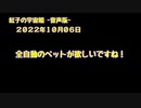紅子の宇宙船 －音声版－ 2022年10月06日