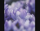 クロッカス - 可不