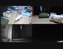 猫密になるまで　2022.10.06-1