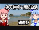 【琴葉姉妹の磯遊び】磯遊び＠天神崎＆南紀白浜【VOICEROID旅行】