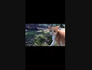 猫神社の猫に噛まれるぼっちなおっさん#Shorts【野良猫】【感動猫】