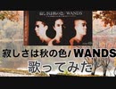 寂しさは秋の色/WANDS（歌ってみた）