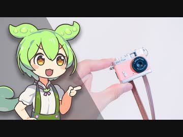 【実用可能】"小さすぎる"激安トイカメラ 「DSC Pieni」の実力をチェック！｜ずんだもんと学ぶ「激安商品」の実態㉑