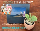 【日帰り旅行祭】ZX-25Rと今日はどこ旅？番外編-小さな思い出掘り起こしに鳥取砂丘と浦富海岸へ行こう-