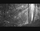 廻流 / 代稚乃 feat. 可不