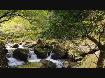 【A.I.VOICE車載】【日帰り旅行祭】紀伊半島ぶらぶら　赤目四十八滝　名張市～伊賀市