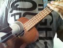 【ヘタレレ】トリノコシティ/40mP【弾いてみた】