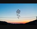 is何処 - 命なんて/ feat.IA