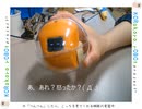 "つんつん" したら，こっち向いてくれる機能実装中...【KORokoro.rOBOt project™】