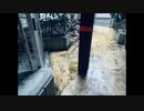 rain_loop [v flower]