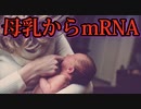 接種者の母乳からワクチンのmRNAが検出される。