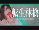 【フルート】転生林檎 Reincarnation Apple／ピノキオピー 演奏してみた【ボカコレ2022秋】