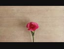 グリーン・カーネーション／色素feat.健音テイ