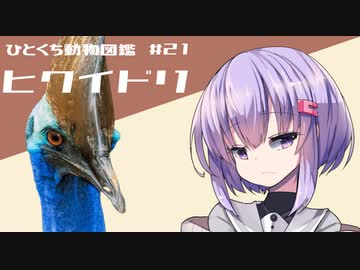 ひとくち動物図鑑　#21　ヒクイドリ　[VOICEROID解説]