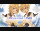 【鏡音リン・レン】More so think in LOWER!