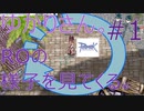 ちょっとラグナロクオンラインの様子見てくる！#1【結月ゆかり実況】【RO】