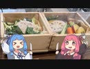 ことのはたびにっき♯5千葉県東総　銚電～香取