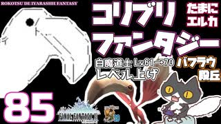 轟くFF11＿復帰プレイ85　コリブリファンタジー 白61→70