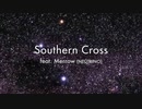 Southern Cross feat. Merrow (NEUTRINO)