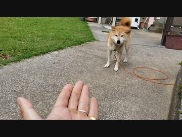 来てくれないリクくん