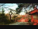 はりくま-Cuddling Journey feat.初音ミク