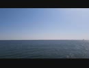 さらば潮騒/flower