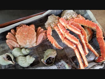 薄髪様BBQ会2022ダイジェスト