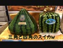変なスイカ[おじさん達のフォートナイト]