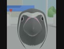 ペンギン