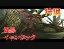 【実況】ぼっちハンターが行く！モンスターハンターXX 第9回