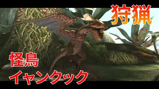 【実況】ぼっちハンターが行く！モンスターハンターXX 第9回