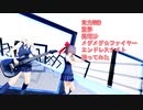 東方MMD　霊夢　魔理沙　メグメグ☆ファイヤーエンドレスナイト　踊ってみた